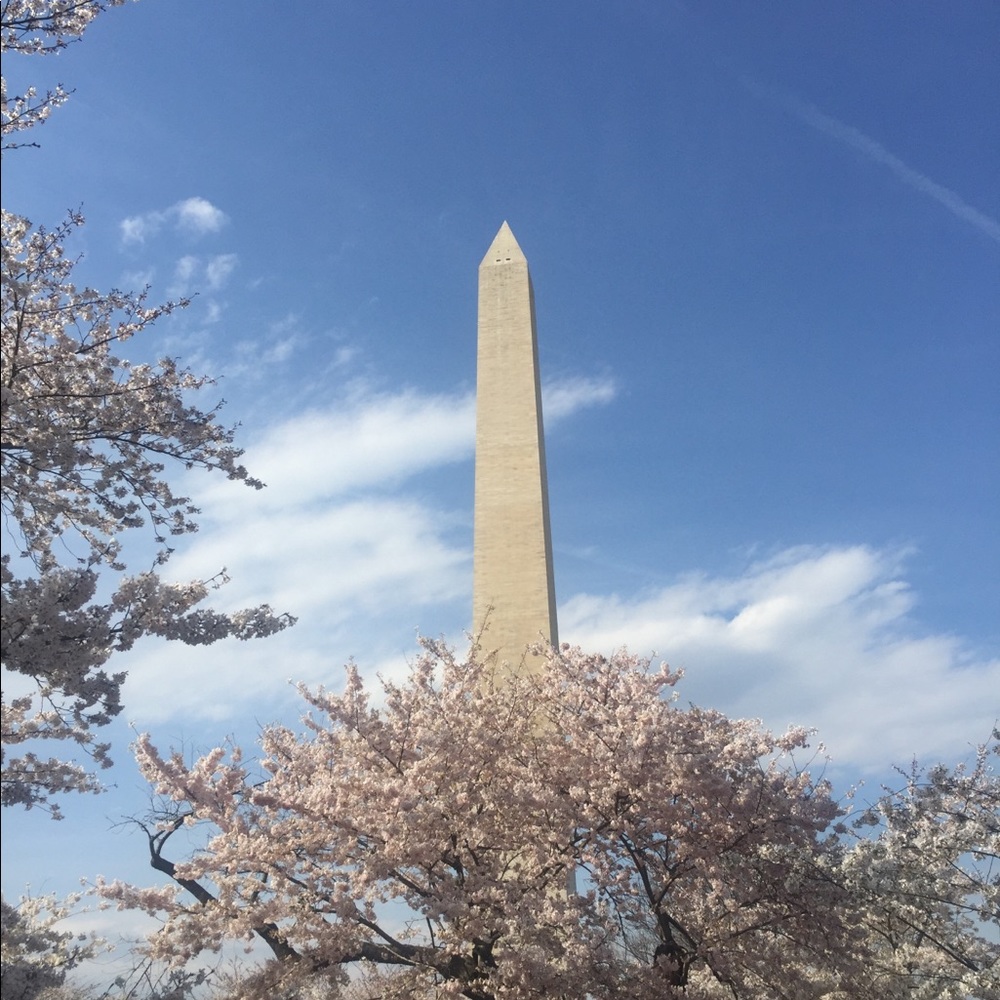 Meet your Posher, Pauletta